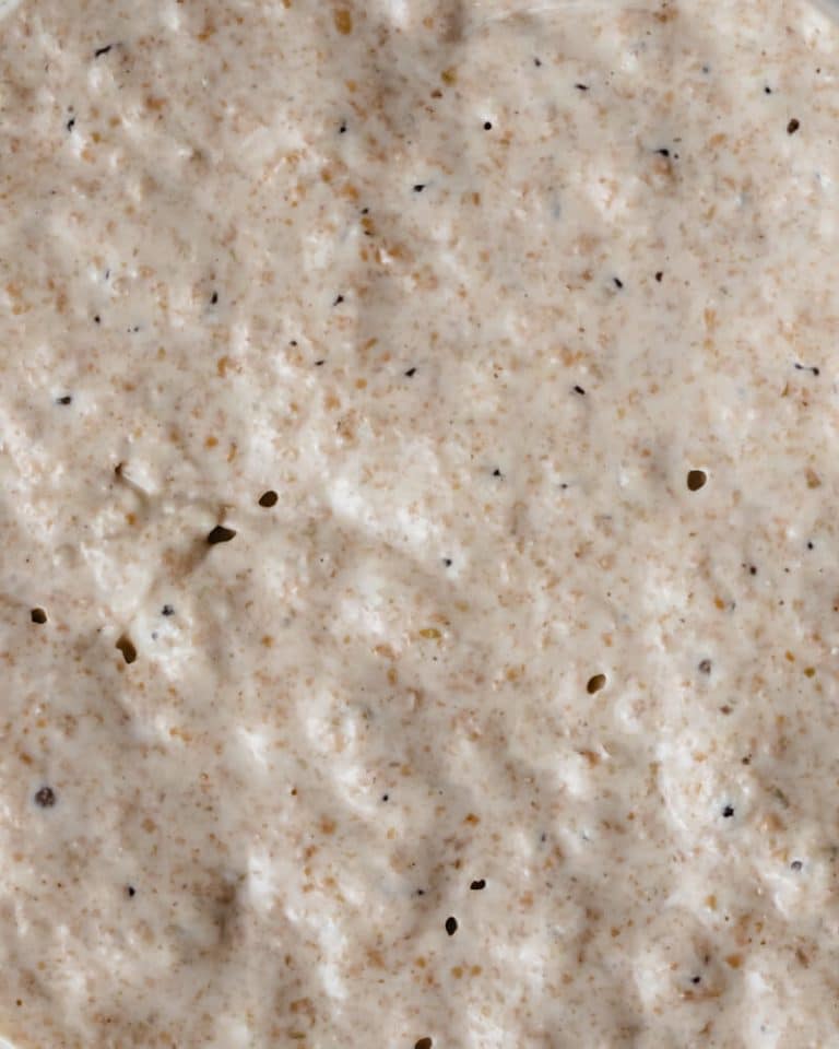 COMO FAZER fermento de padeiro, FERMENTO NATURAL, massa mãe, levain, sourdough EM CASA
