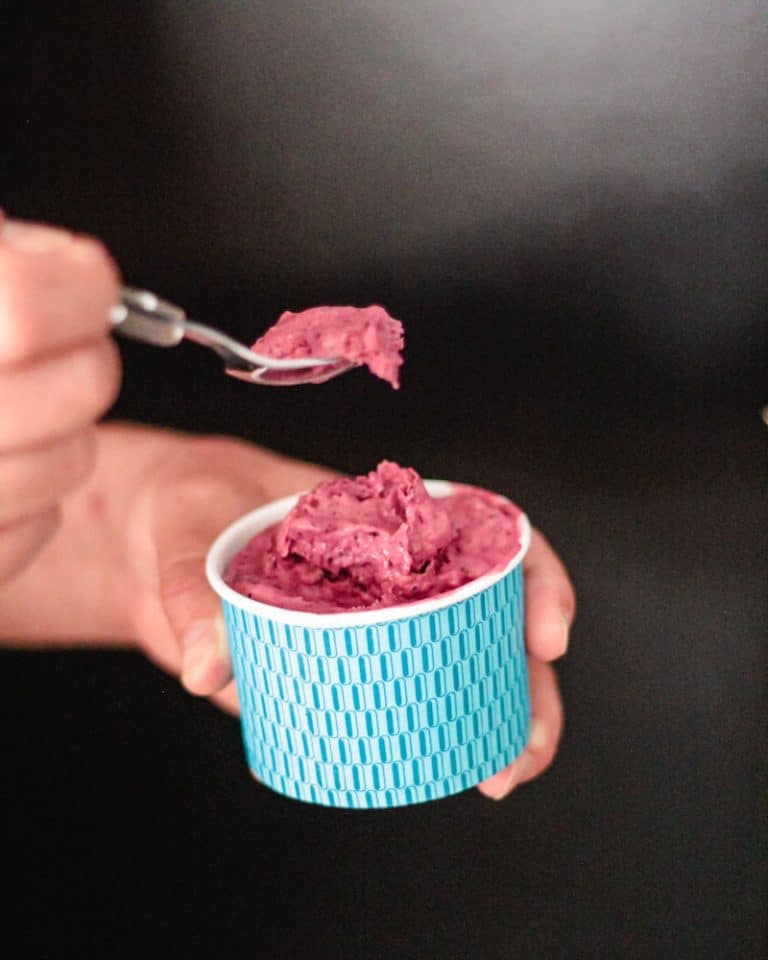 gelado de frutos vermelhos vegano
