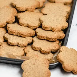 Criar Comer Crescer - receitas deliciosas para alergias, intolerancias e outras restrições alimentares