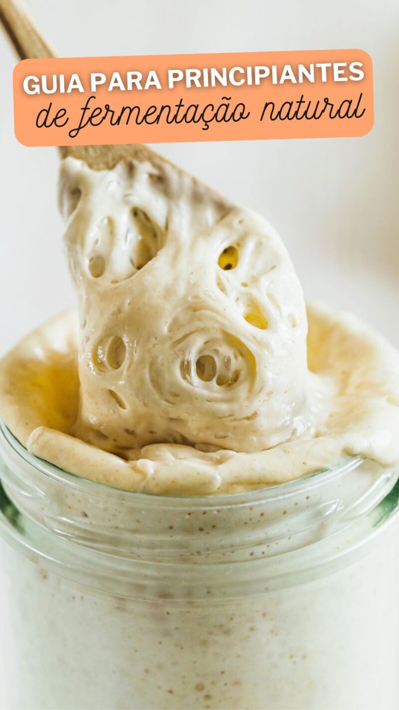 Guia para principiantes de fermentação natural - Criar Comer Crescer