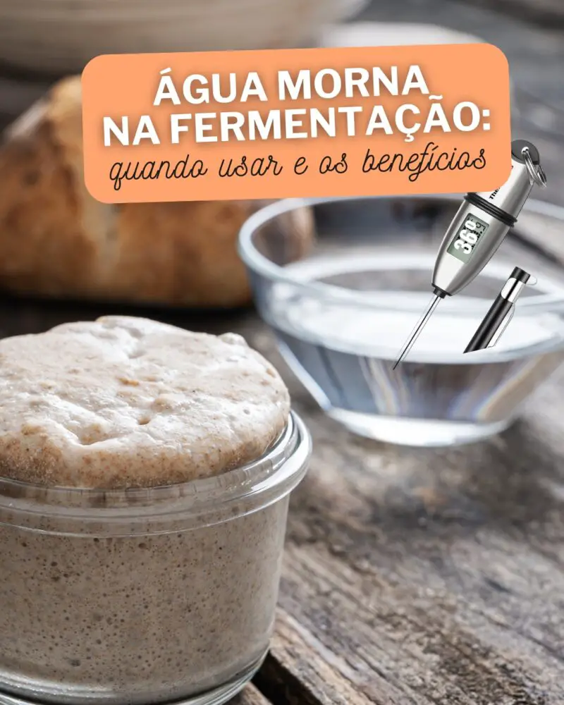 Água morna na fermentação de massa mãe e fermento natural : quando usar e os benefícios